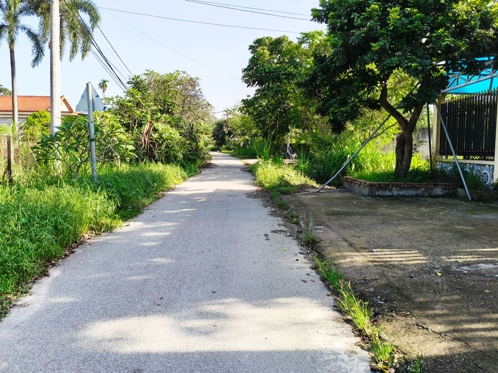 Bán kho, nhà xưởng Xã Củ Chi – ảnh 9/10