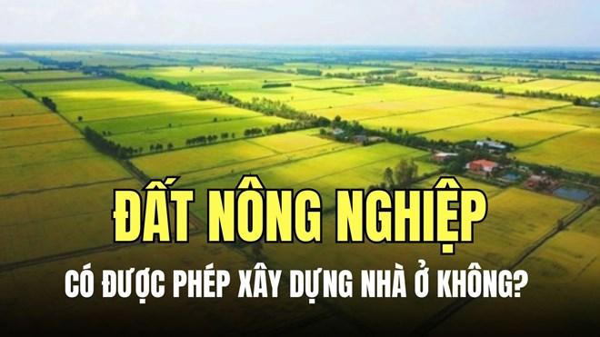 Đất nông nghiệp ở Củ Chi có xây được nhà không? 5 điều phải biết trước khi mua