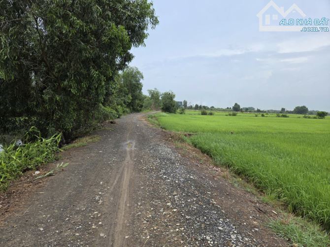 Bán nhà vườn Xã Phú Hòa Đông – ảnh 1/4
