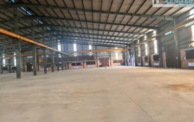 Cho thuê kho xưởng SIÊU VIP 14.150m² đường Hồ Văn Tắng, Tân Phú Trung, Củ Chi.