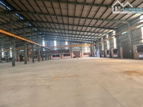 Cho thuê kho xưởng SIÊU VIP 14.150m² đường Hồ Văn Tắng, Tân Phú Trung, Củ Chi.