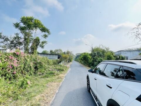 Đất Mặt Tiền Đường số 436, Phú Hoà Đông, Củ Chi 27m x 51m tổng 1450m2 330m2 thổ cư