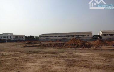 cho thuê đất 5000 m2 Võ Văn Bích, Bình Mỹ, Củ Chi, HCM