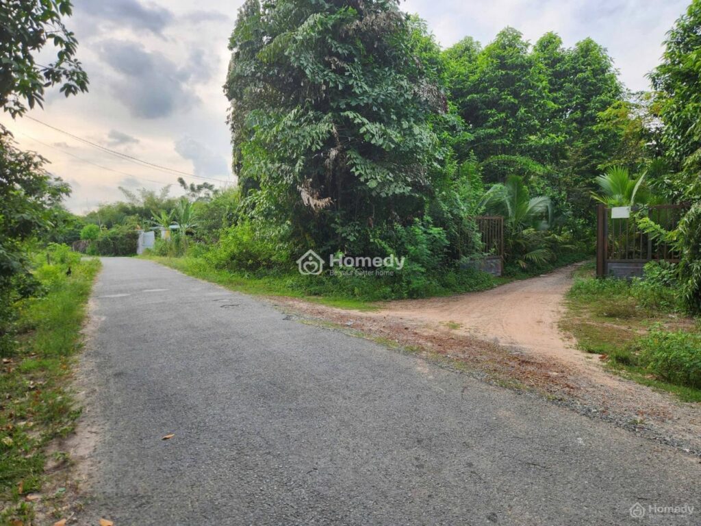 Cho thuê đất Xã Thái Mỹ – ảnh 1/10
