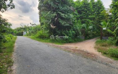 Cho thuê đất rộng 26.000m2 tại xã Trung Lập Thượng, Củ Chi