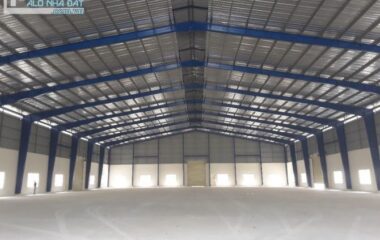 Cho thuê kho xưởng 3000m2 đường Hồ Văn Tắng, Tân Phú Trung, Củ Chi