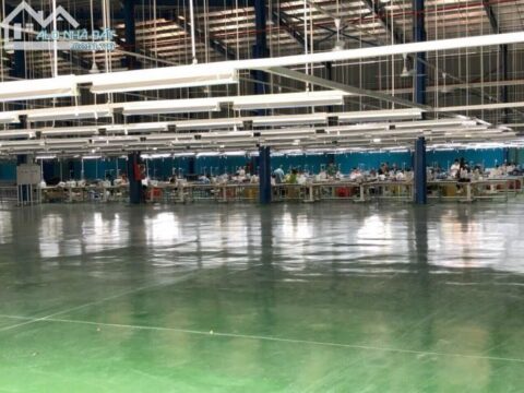 Cho thuê xưởng may 14.500m2 gần Tỉnh Lộ 8, Thị Trấn Củ Chi