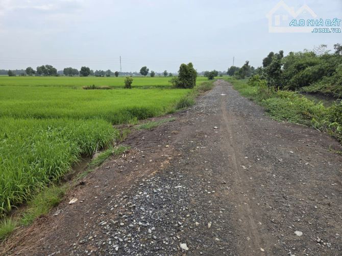 Bán nhà vườn Xã Phú Hòa Đông – ảnh 2/4