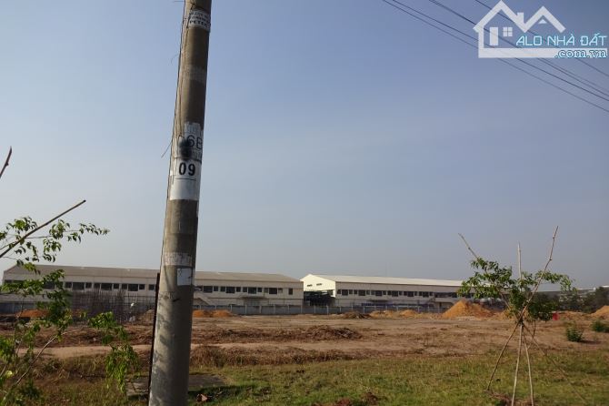 Cho thuê kho, nhà xưởng Xã Bình Mỹ – ảnh 2/3
