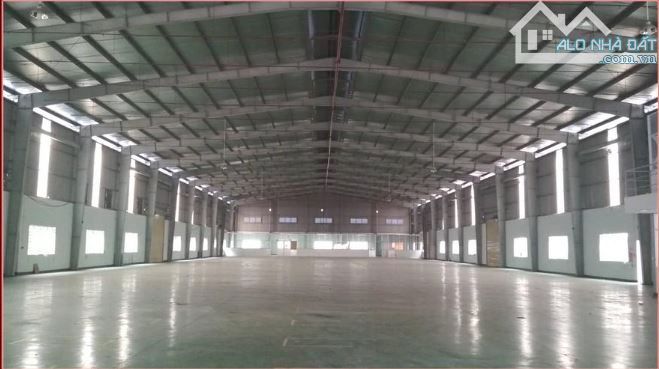 Cho thuê kho, nhà xưởng Xã Củ Chi – ảnh 3/5
