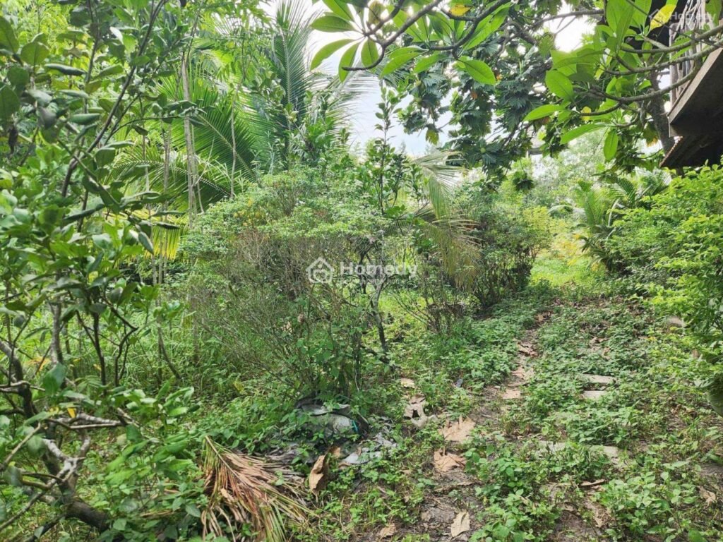 Cho thuê đất Xã Thái Mỹ – ảnh 3/10