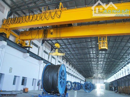 Cho thuê kho, nhà xưởng Xã Củ Chi – ảnh 3/3