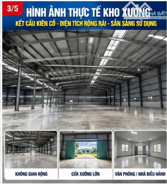 Bán kho, nhà xưởng Xã Củ Chi – ảnh 3/5