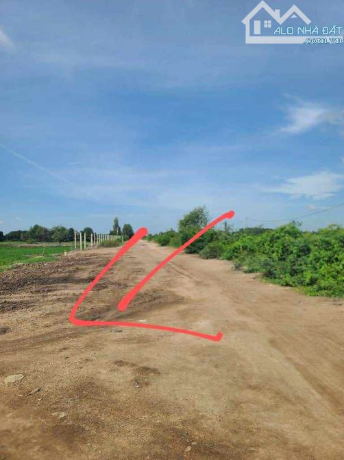 Bán đất nông nghiệp, đất vườn Xã Củ Chi – ảnh 4/5