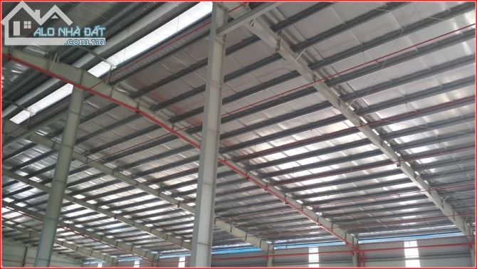Cho thuê kho, nhà xưởng Xã Củ Chi – ảnh 4/6