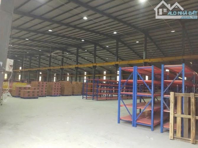 Cho thuê kho, nhà xưởng Xã Củ Chi – ảnh 4/7