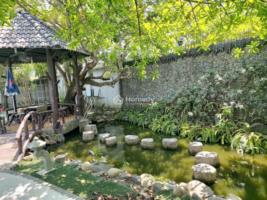Cho thuê bất động sản khác Xã Củ Chi – ảnh 5/9