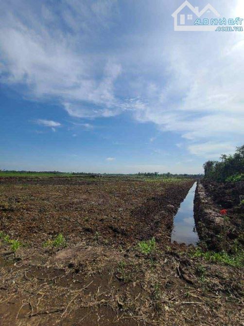Bán đất nông nghiệp, đất vườn Xã Củ Chi – ảnh 5/5