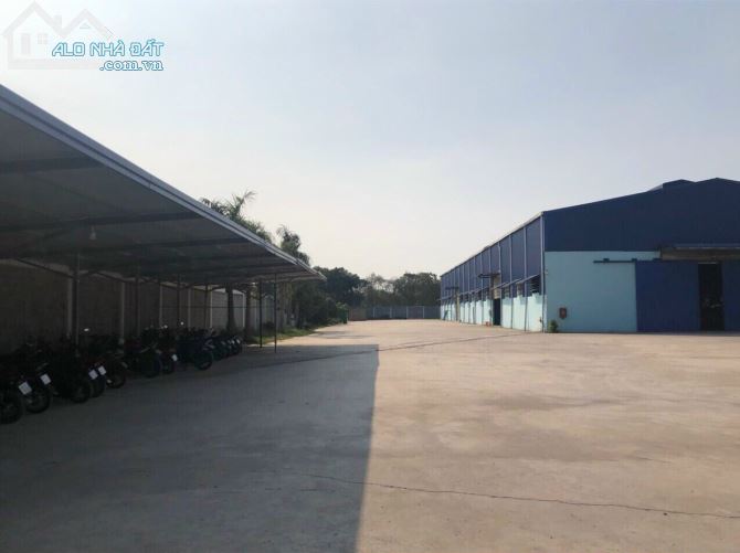 Cho thuê kho, nhà xưởng Xã Tân An Hội – ảnh 5/6
