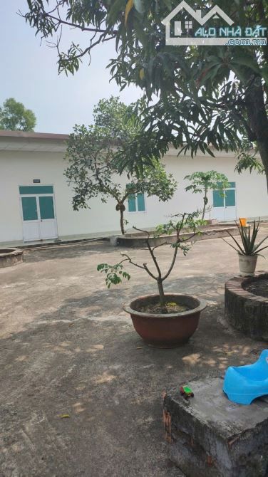 Cho thuê kho, nhà xưởng Xã Bình Mỹ – ảnh 8/8