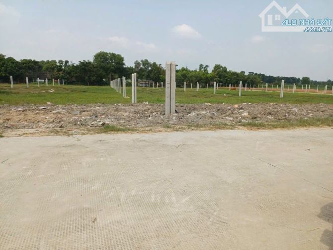 Bán đất thổ cư Xã Bình Mỹ – ảnh 5/5