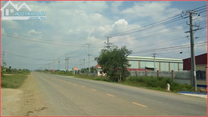 Cho thuê kho, nhà xưởng Xã Củ Chi – ảnh 6/6
