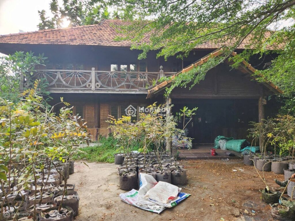 Cho thuê đất Xã Thái Mỹ – ảnh 8/10