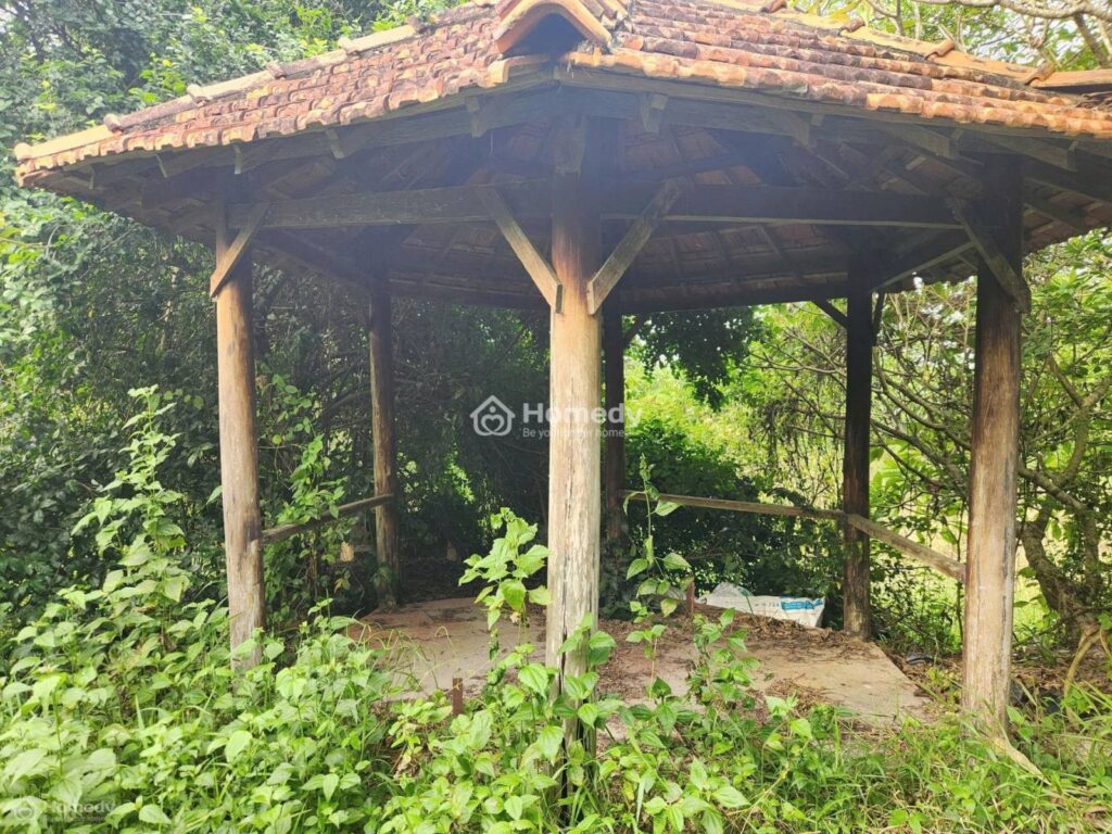 Cho thuê đất Xã Thái Mỹ – ảnh 9/10