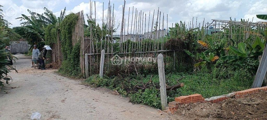 Bán đất thổ cư Xã Củ Chi – ảnh 9/11