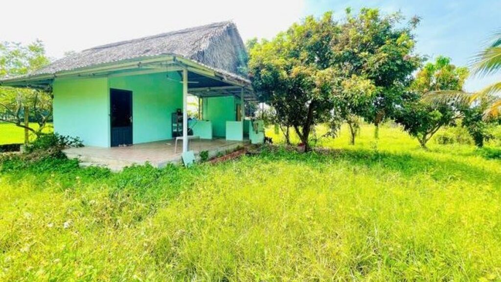Bất Động Sản Tây Bắc Củ Chi — Củ Chi