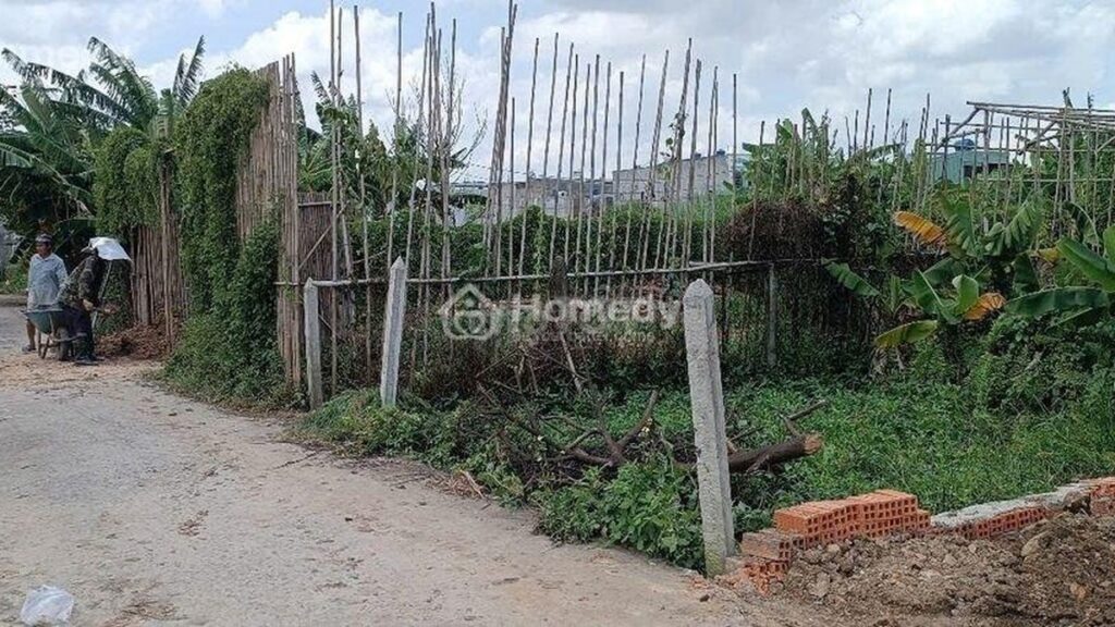 Đất thổ cư Bình Mỹ (Củ Chi): giá tham khảo 2026