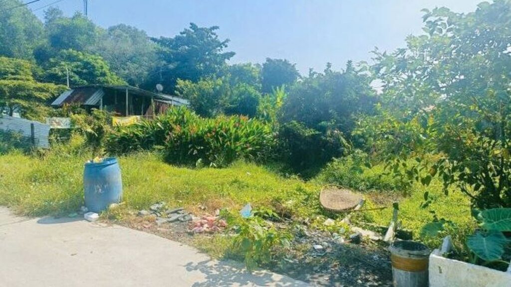 Bất Động Sản Tây Bắc Củ Chi — Củ Chi