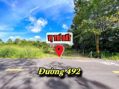 Đất đường 492 – 242m2 – 10×23 – 120m2 thổ cư – xã Phạm Văn Cội – Củ Chi