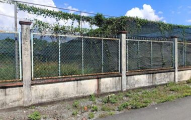 Bán 2 lô đất 1/ đường Hồ Văn Tắng – 559m2 – 12×47 – 300m2 thổ cư – xã Tân Phú Trung – Củ Chi