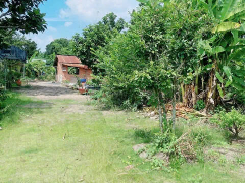 Đất đường Tỉnh Lộ 15 – 952m2 – 18×52 – 650m2 thổ cư – xã Phú Hòa Đông – Củ Chi