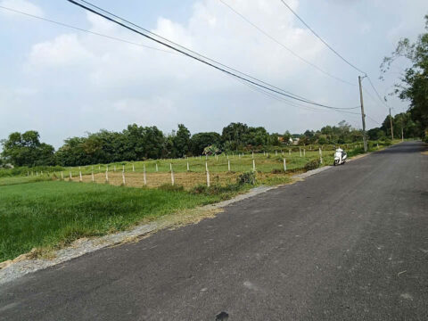 Đất đường 812 – 546m2 – 10×55 – 187m2 thổ cư – xã An Phú – Củ Chi