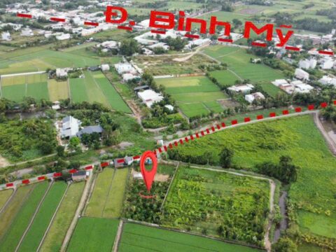 Bán đất vườn 1/ đường Bình Mỹ – 1820m2 – 35×63 – xã Bình Mỹ – Củ Chi