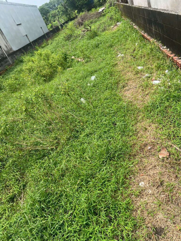 Bán Xã Phú Hòa Đông – ảnh 1/2