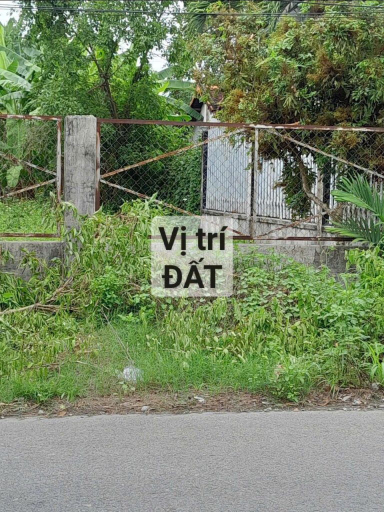 Bán đất thổ cư Xã Bình Mỹ – ảnh 1/2