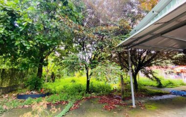 Nhà vườn mặt tiền đường Tỉnh Lộ 7 – 1483m2 – 18×74 nở hậu 24.5m – 300m2 thổ cư – xã An Nhơn Tây – Củ Chi