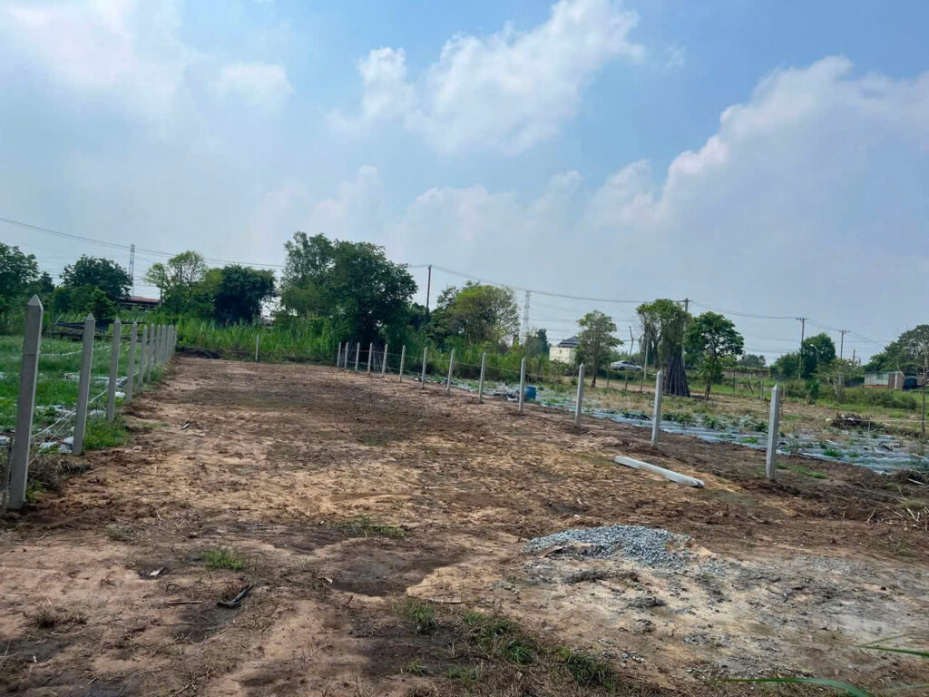 Bán đất nông nghiệp, đất vườn Xã Phú Hòa Đông – ảnh 1/3