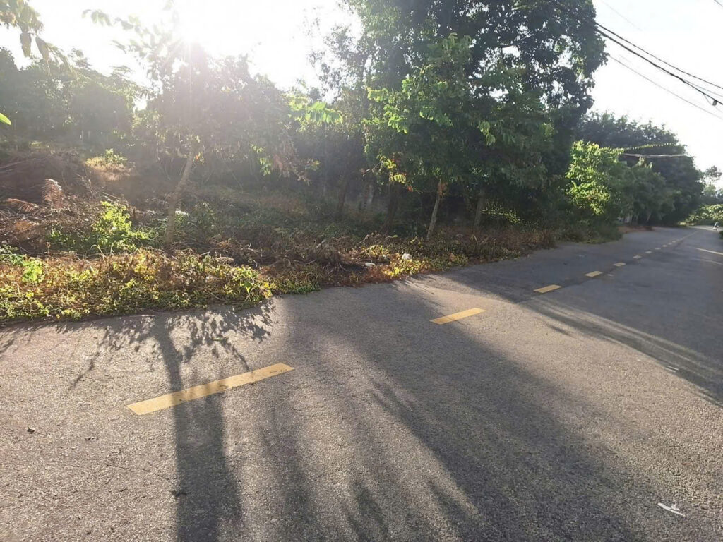 Bán đất thổ cư Xã Nhuận Đức – ảnh 2/3