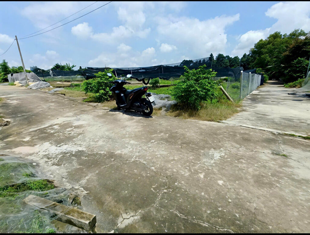Bán đất nông nghiệp, đất vườn Xã Củ Chi – ảnh 2/7