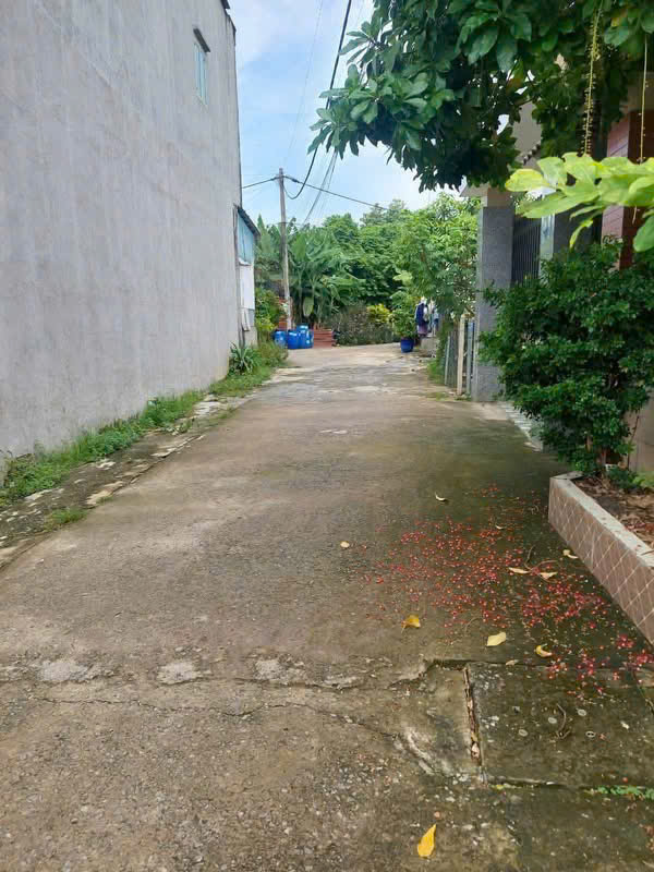 Bán đất thổ cư Xã Bình Mỹ – ảnh 3/3