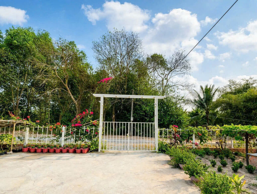 Bán nhà vườn Xã Thái Mỹ – ảnh 4/11