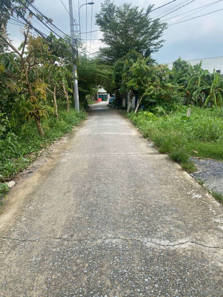 Bán đất thổ cư Xã Bình Mỹ – ảnh 3/5