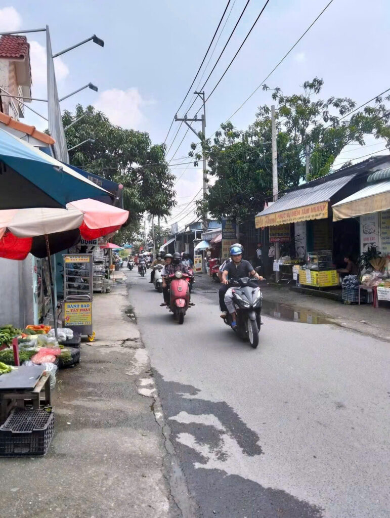 Bán đất thổ cư Xã Bình Mỹ – ảnh 4/5