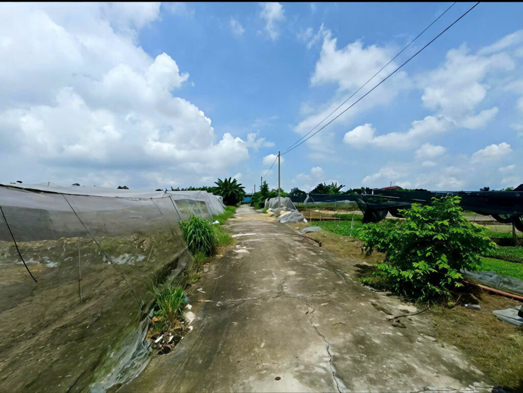 Bán đất nông nghiệp, đất vườn Xã Củ Chi – ảnh 5/7