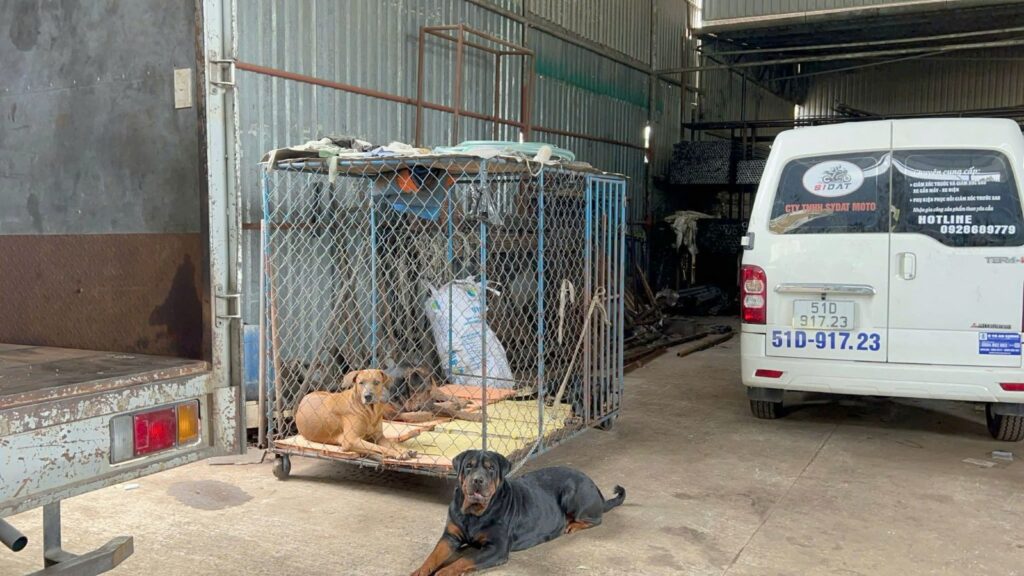 Bán kho, nhà xưởng Xã Nhuận Đức – ảnh 5/7