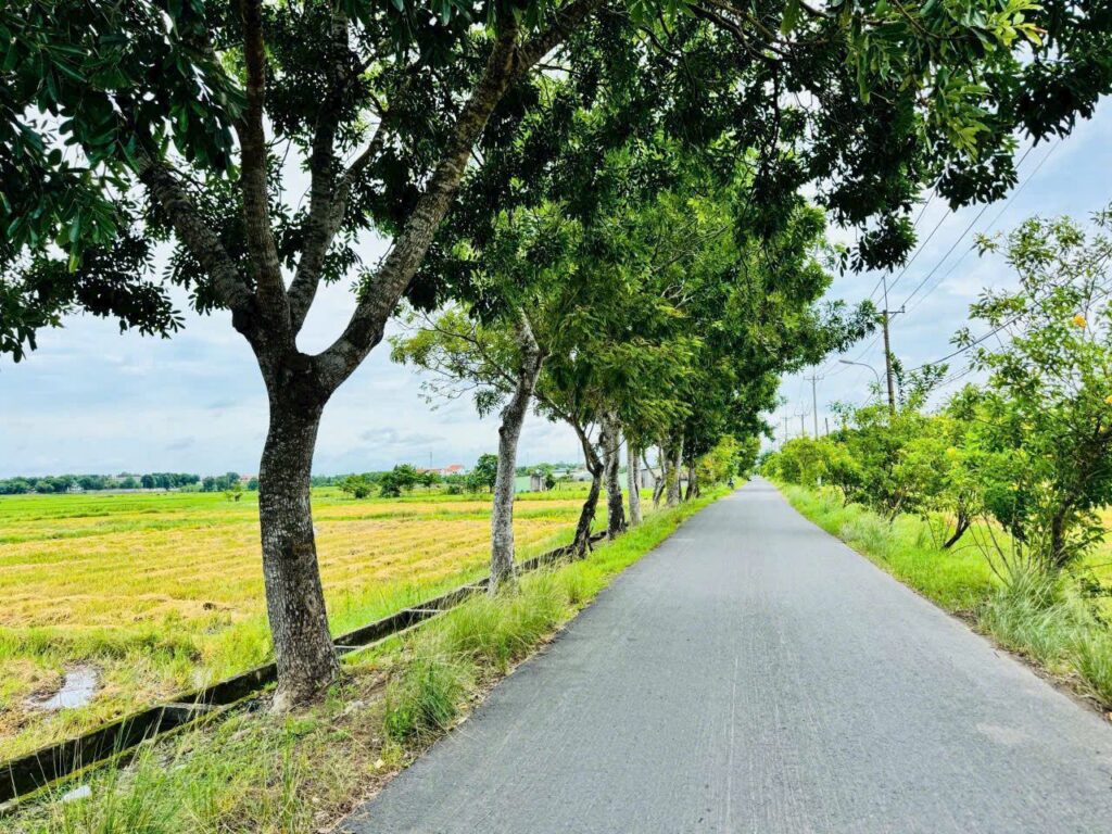 Bán đất nông nghiệp, đất vườn Xã Thái Mỹ – ảnh 5/5